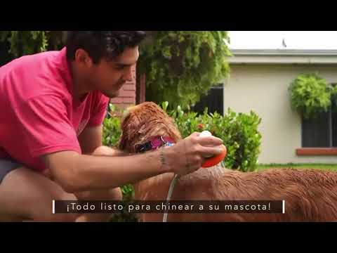 Cargar vídeo:
