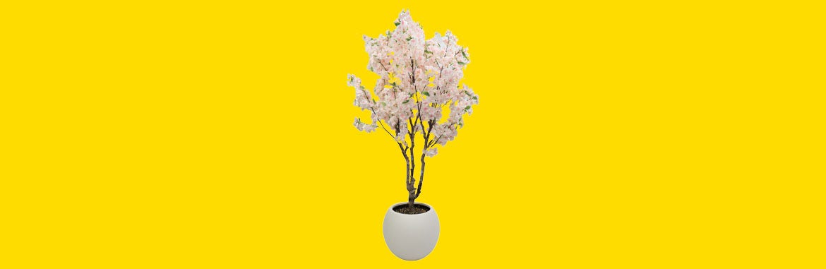 Descubre los nuevos Ã¡rboles decorativos de gran tamaÃ±o