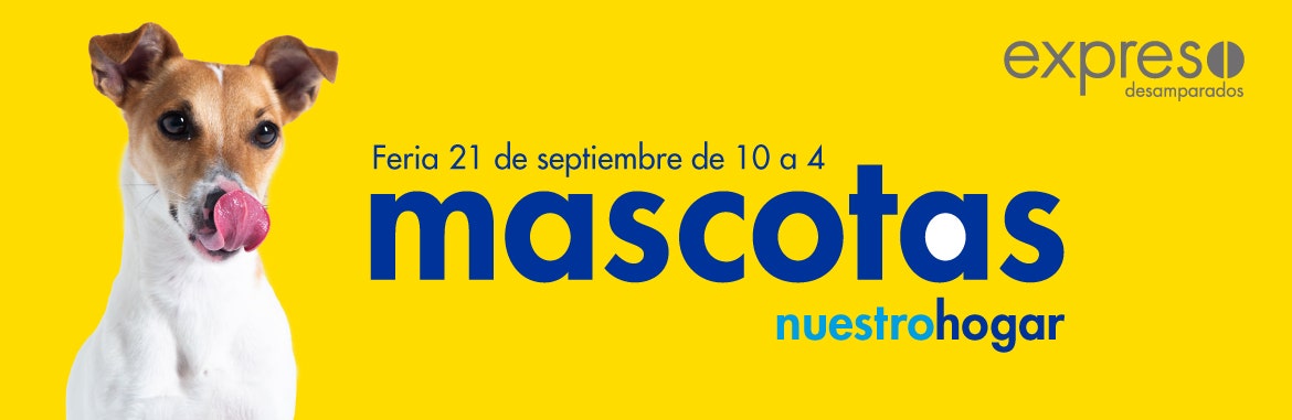 Vuelve la feria mascotas a Desamparados