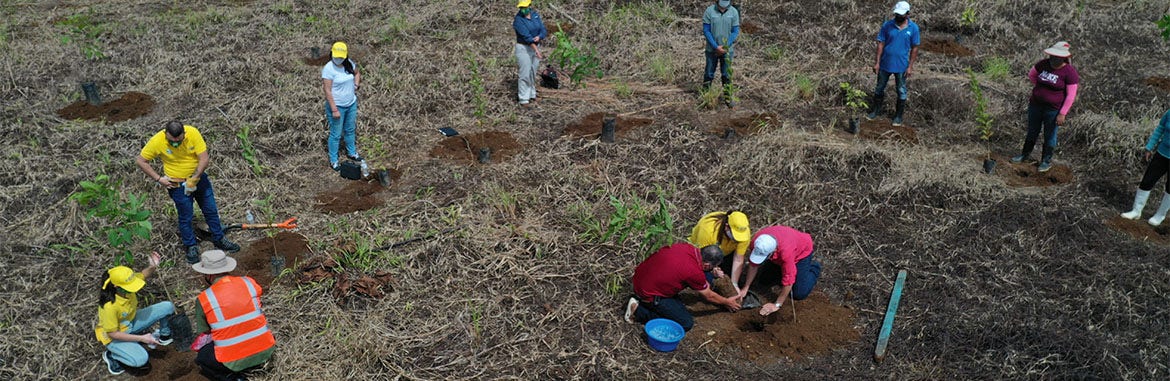Bosque Huella Amarilla tiene sus primeros 1.000 árboles sembrados gracias a nuestros clientes