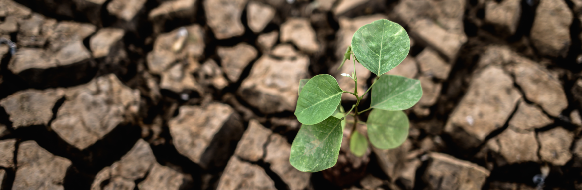 Resiliencia: Los 12 hÃ¡bitos
