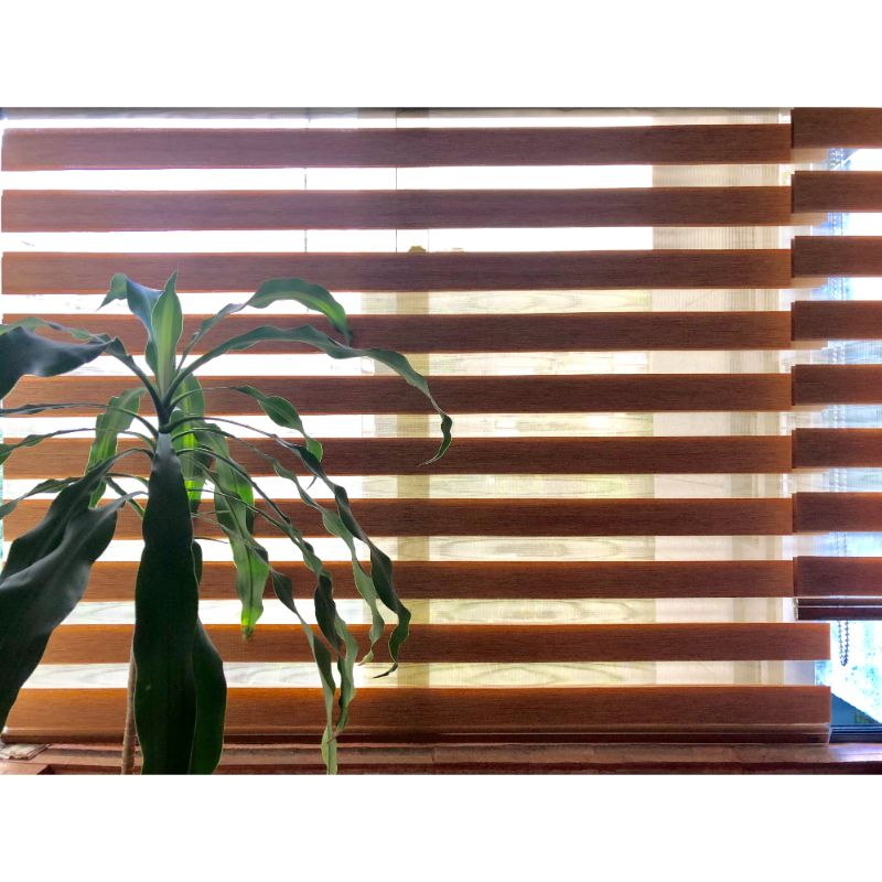 Roller eclipse semi-opaque 100 x 180 cm wood