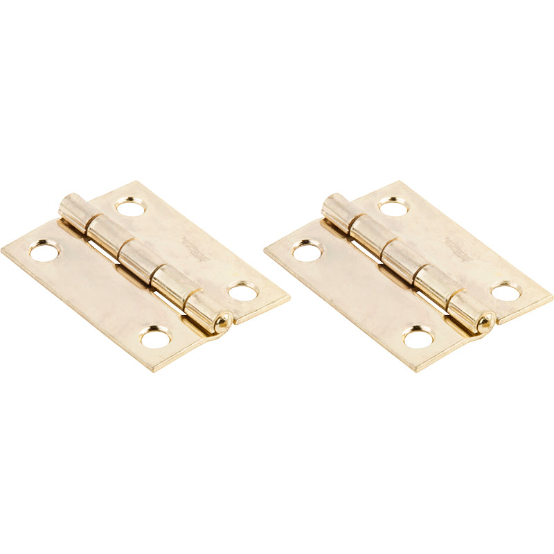 2" Brass Hinge