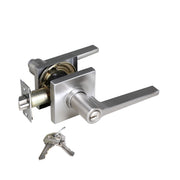 Daylon Keyed Entry Lever for Bedroom, Satin Nickel