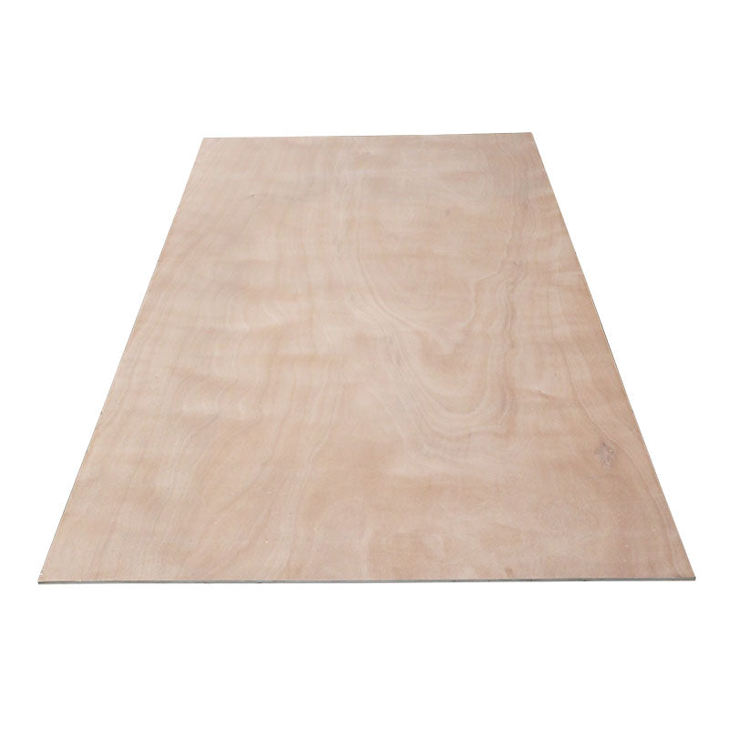Okoume plywood b/bb 4' x 8' 1/2"