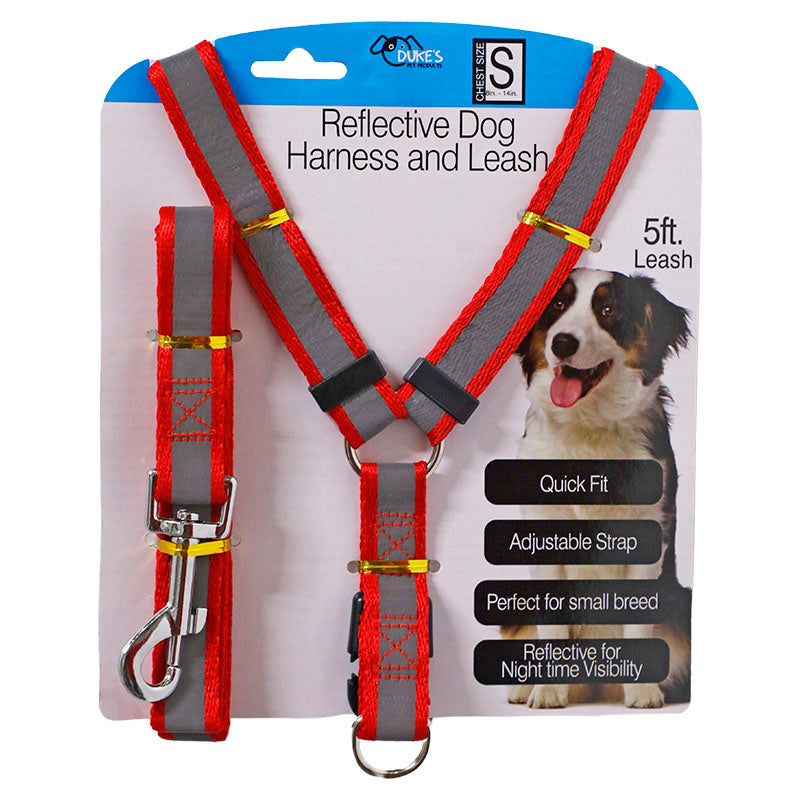 Arnés + correa reflectivos para perro talla S