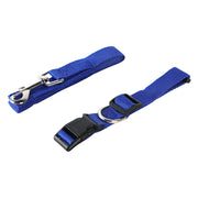 Collar + leash for dogs sizes S - M