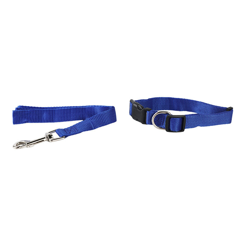 Collar + correa para perro tallas s - m