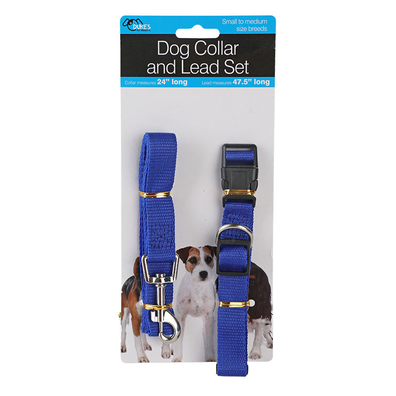 Collar + leash for dogs sizes S - M