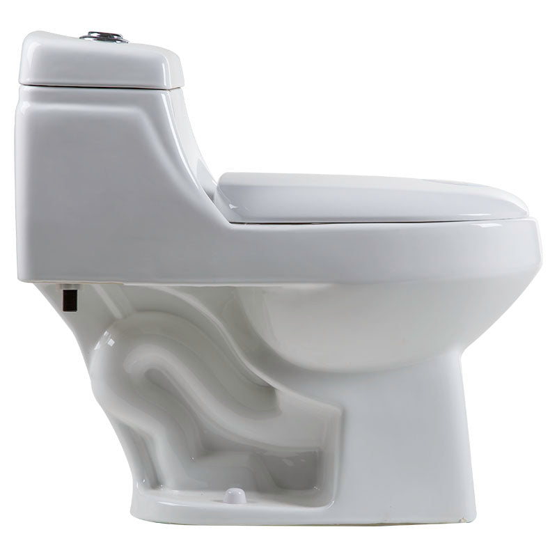 Agri Aqua Nuova elongated one-piece toilet, white, dual flush
