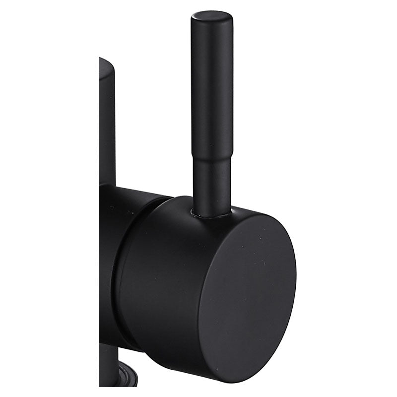 Matte black single-handle gooseneck bathroom faucet