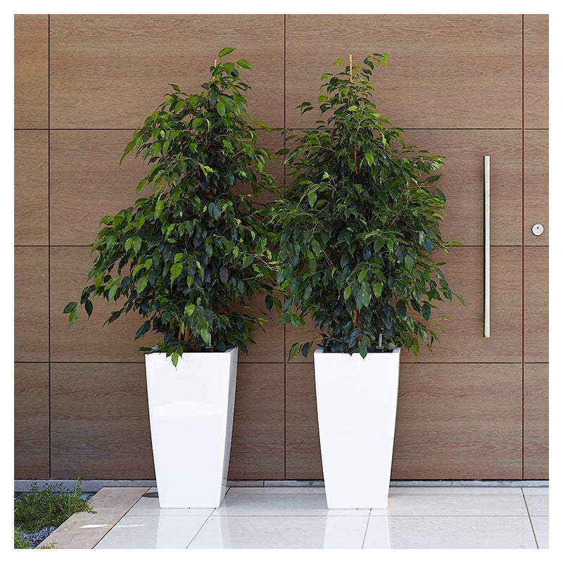 Pisa Plastic Floor Planter 61 x 33 cm White