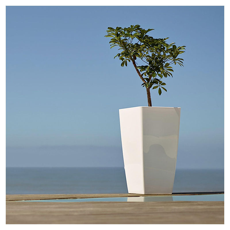Pisa Plastic Floor Planter 61 x 33 cm White