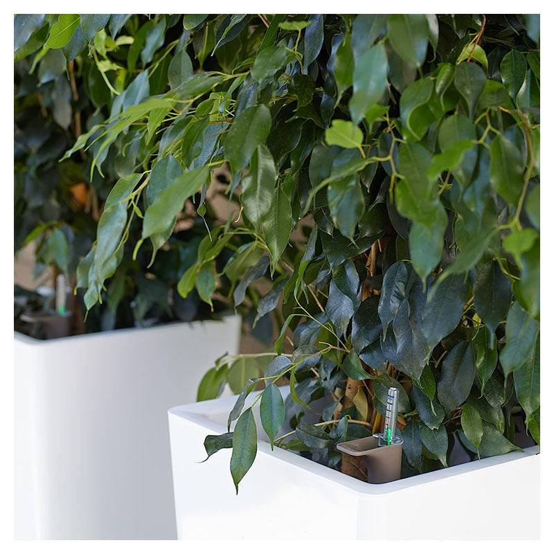 Pisa Plastic Floor Planter 61 x 33 cm White