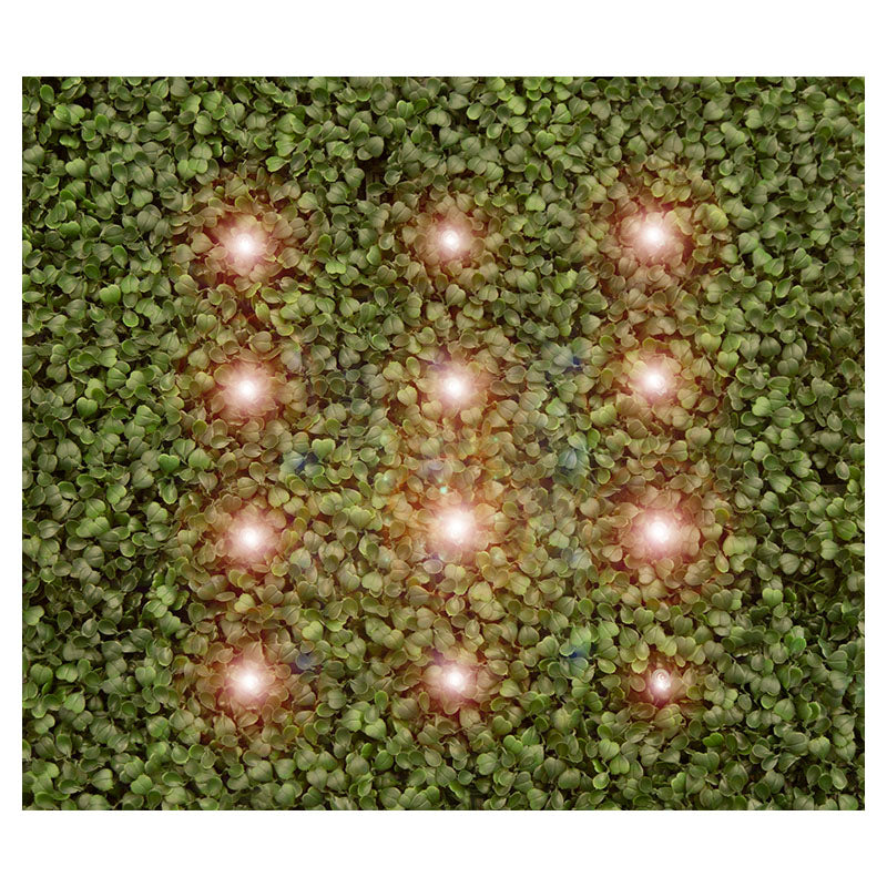 Follaje artificial con luz led boxwood 100 x 100 cm