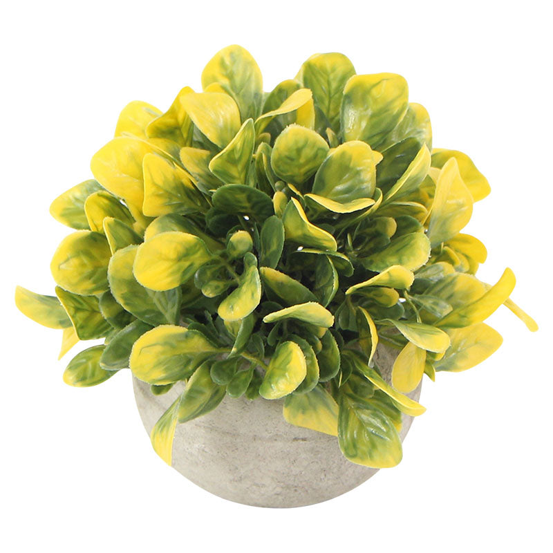 Planta artificial Peromia Obtusifolia polietileno amarillo 14 x 17 cm Basic Living