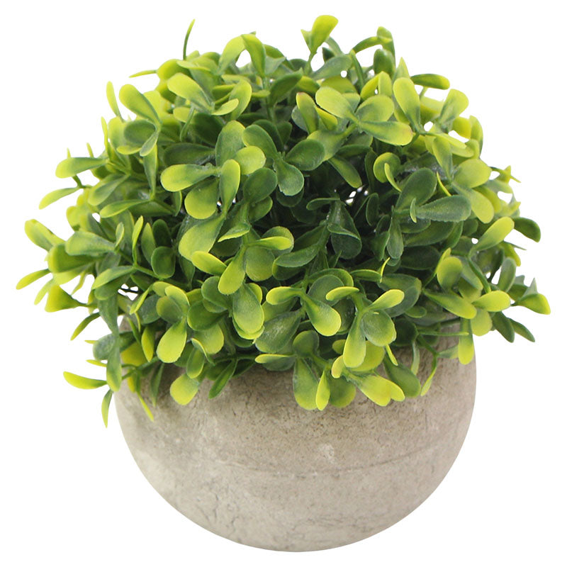Planta artificial buxus polietileno amarillo 14 x 13 cm Basic Living