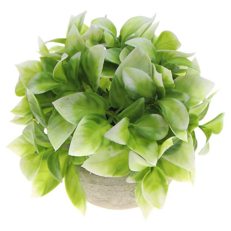 Planta artificial albahaca polietileno blanco 14 x 16 cm Basic Living