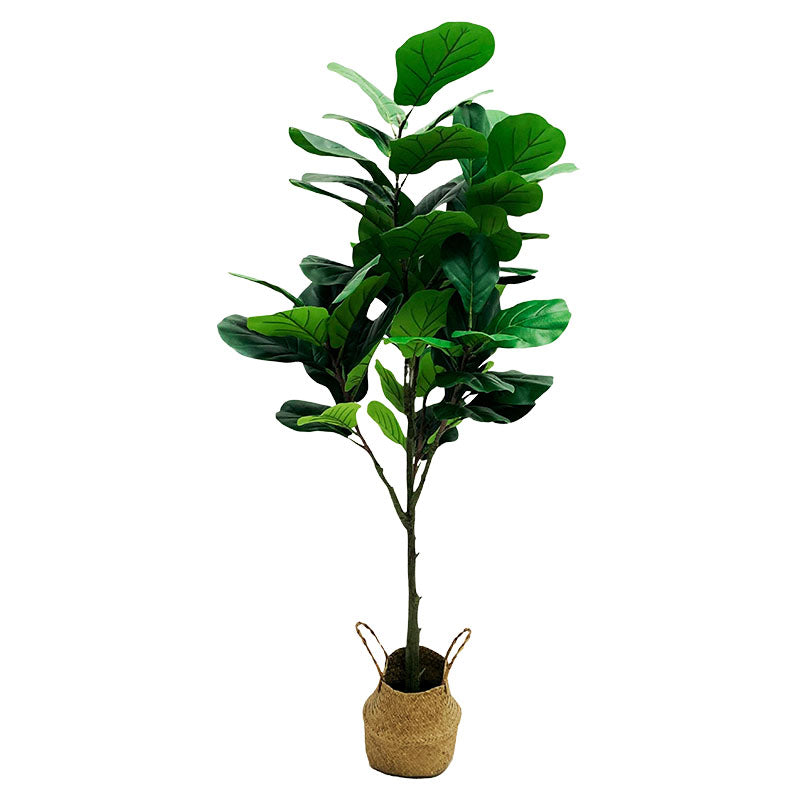 Ficus artificial 150 cm