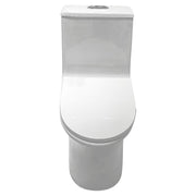 Aqua Nuova Noce One-Piece Elongated White Toilet Dual Flush