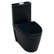 Aqua Nuova Deluxe elongated one-piece black dual-flush toilet