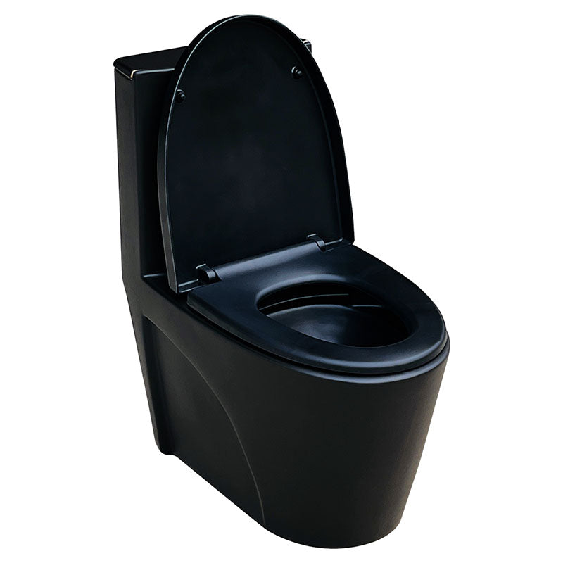 Aqua Nuova Deluxe elongated one-piece black dual-flush toilet