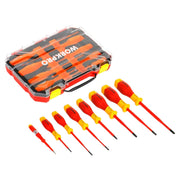 8-piece screwdriver set, flat and Phillips, bi-material handle in Workpro case