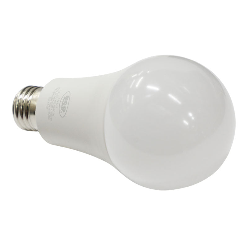 Set 2 bombillos led 20 W E27 A80 6.000 K ECOMAX