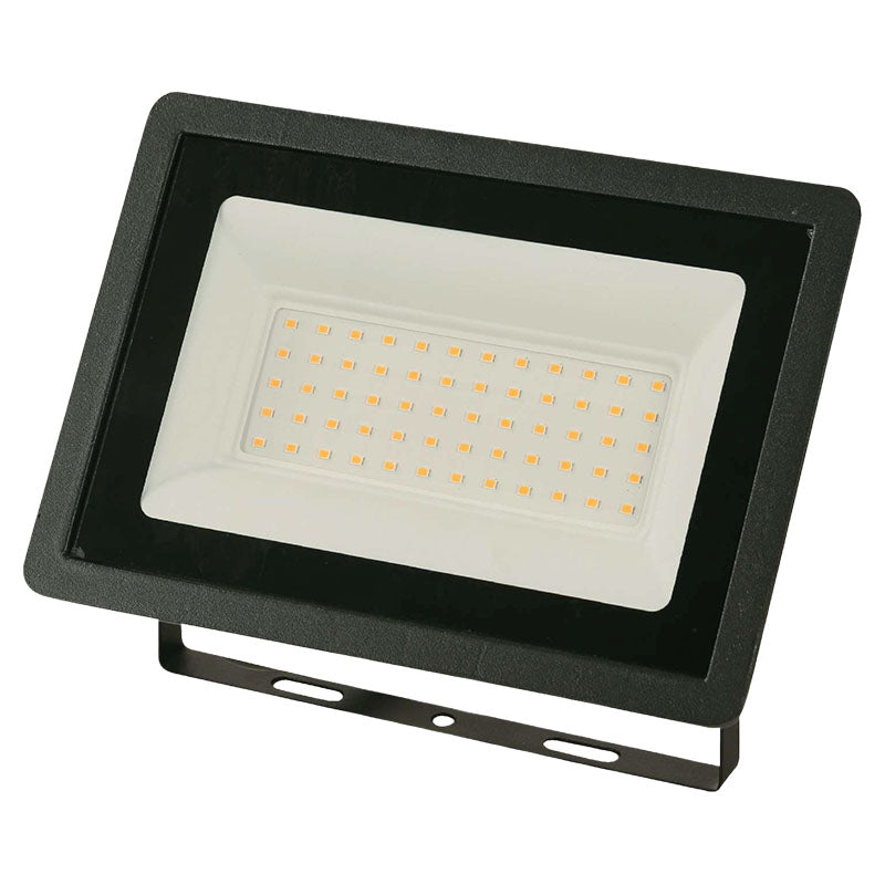 General Lighting outdoor black LED spotlight 50 W warm white