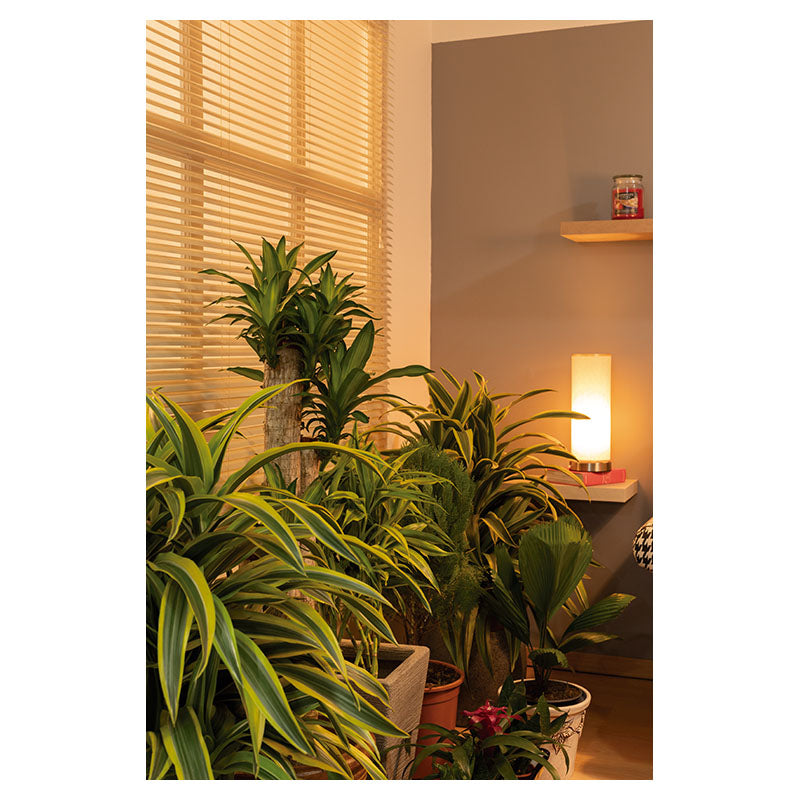 Lámpara mesa níquel pantalla beige 1 luz E27