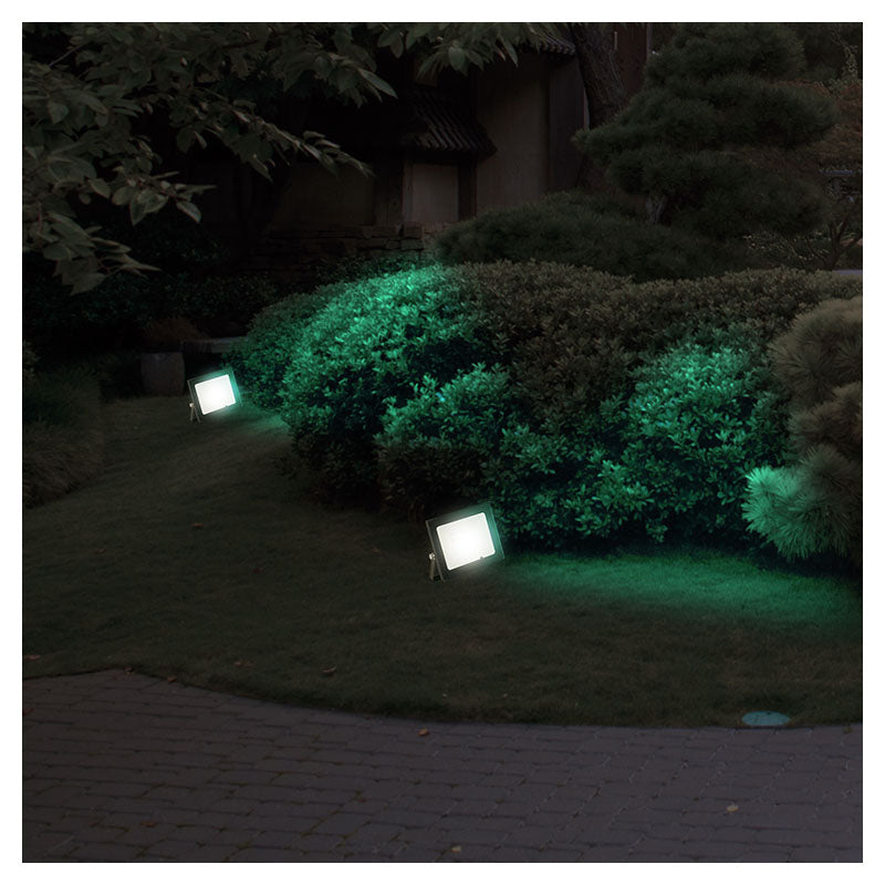 Reflector negro exterior led 10 W luz RGB General Lighting