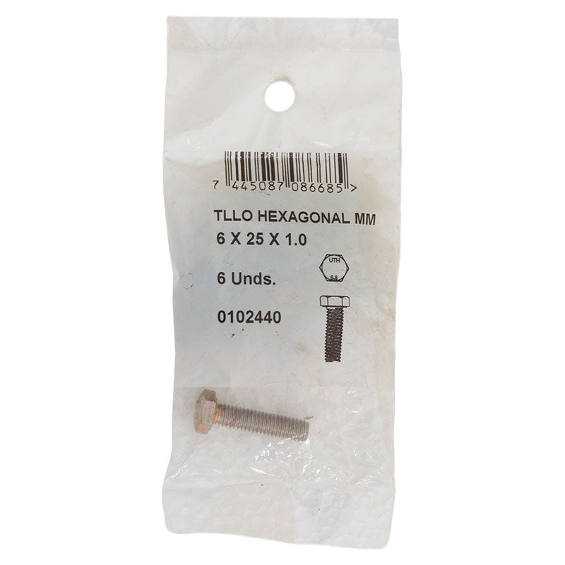 Tornillo hexagonal milimétrico paso 1,00 6 x 25 e-1