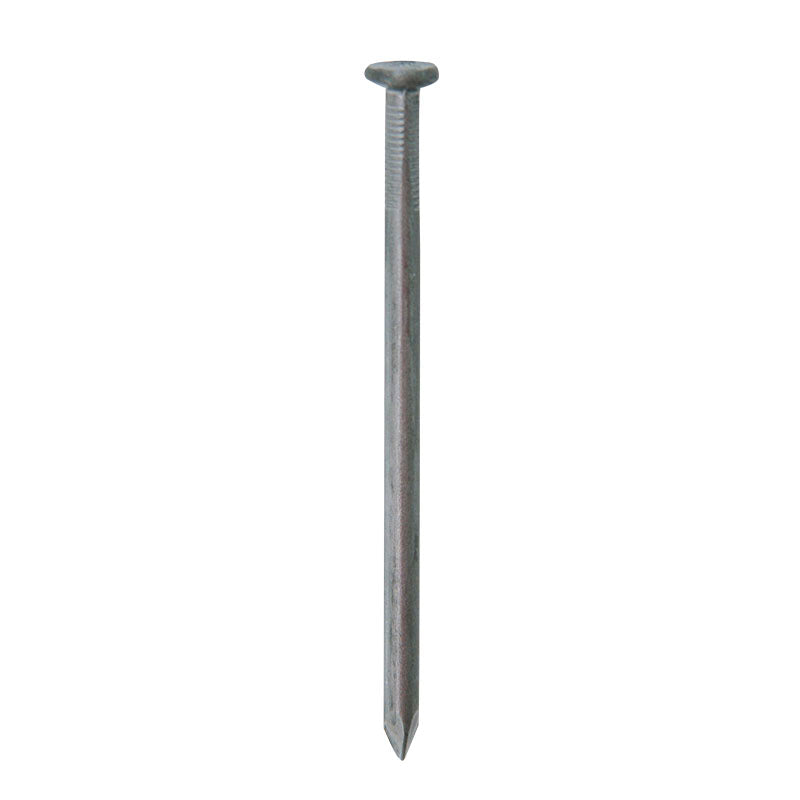 Head nail 3/4" 100 g