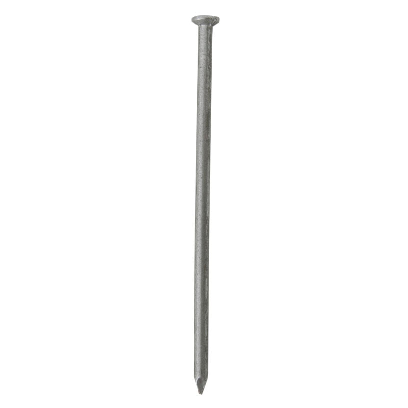 Clavo con cabeza 5" 500 g