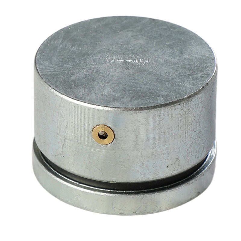 Eje inferior con roles crónicos 48 mm para portón abatible soporta 300 kg