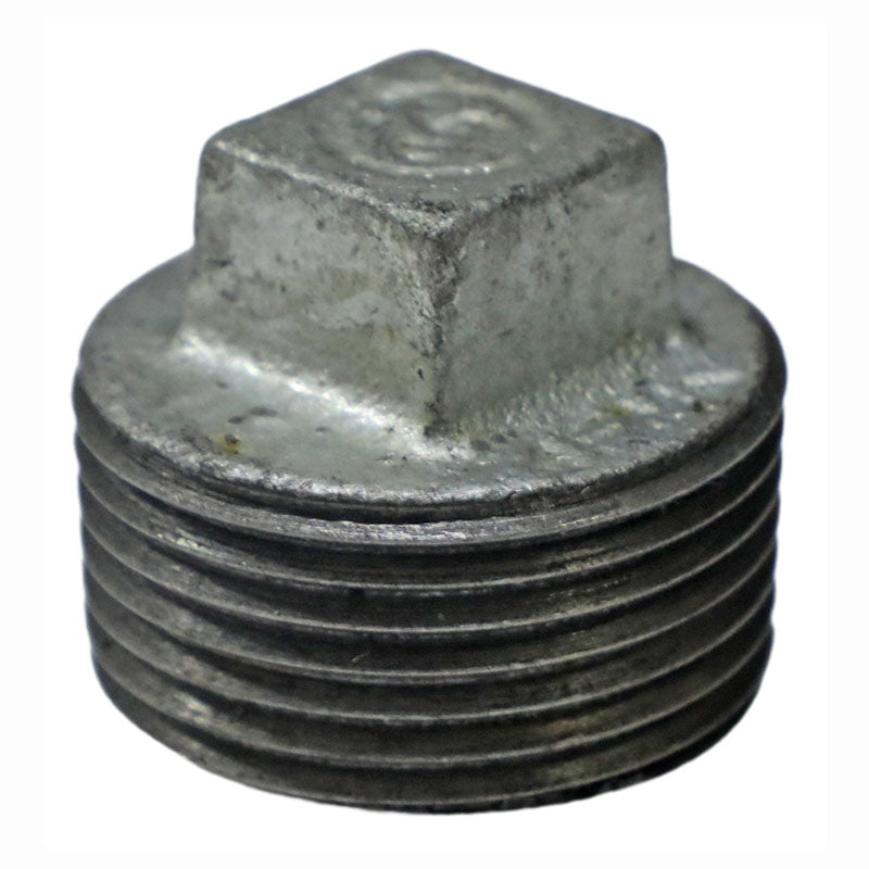 HG 3/4" internal plug