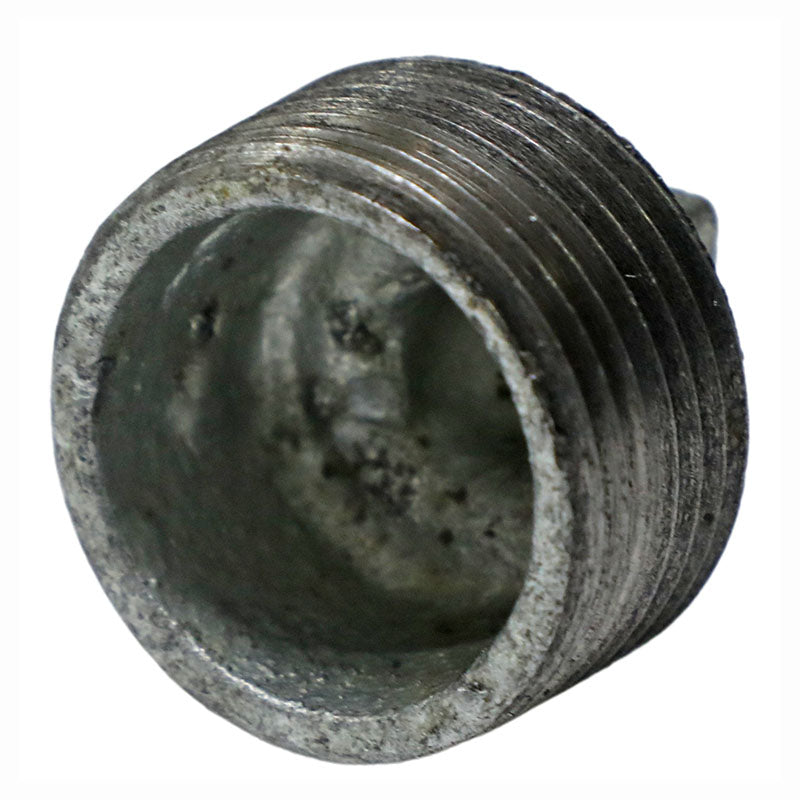 HG 3/4" internal plug