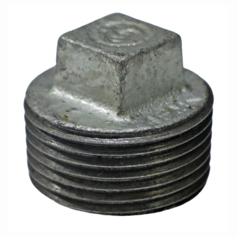 HG 1" Internal Plug