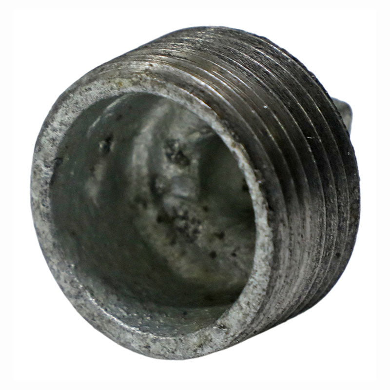 HG 1" Internal Plug