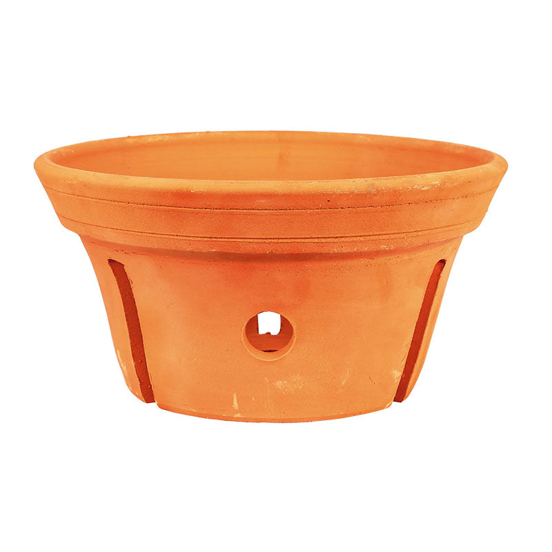 Orchid Pot #2