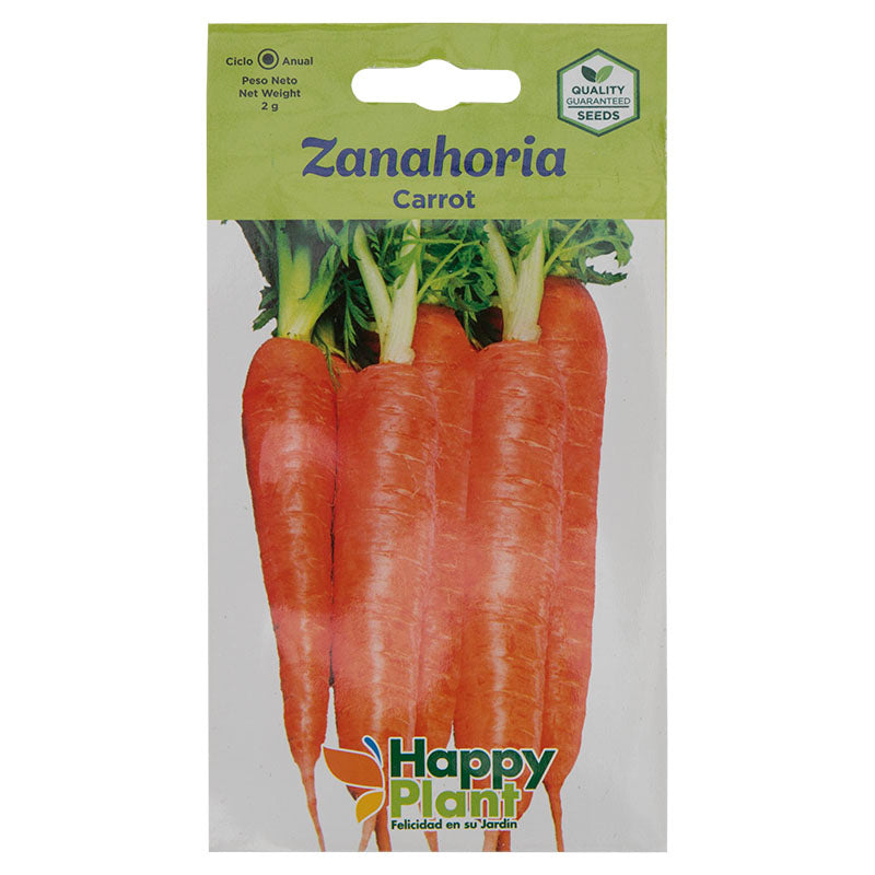 Semillas de zanahoria