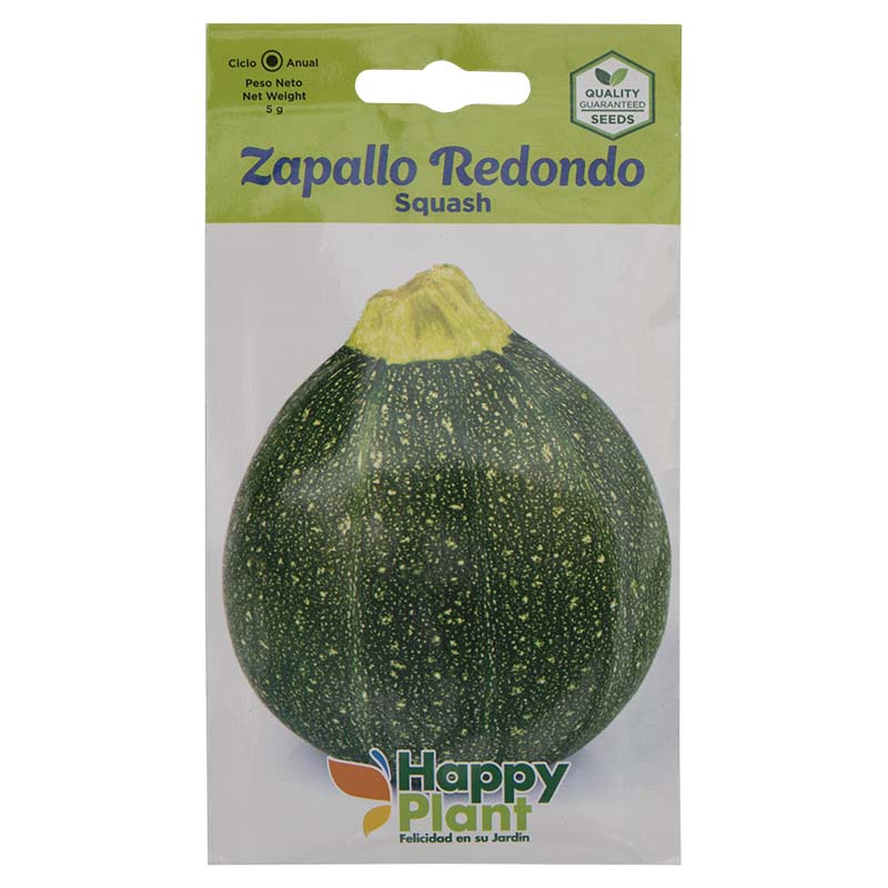 Semillas de zapallo redondo