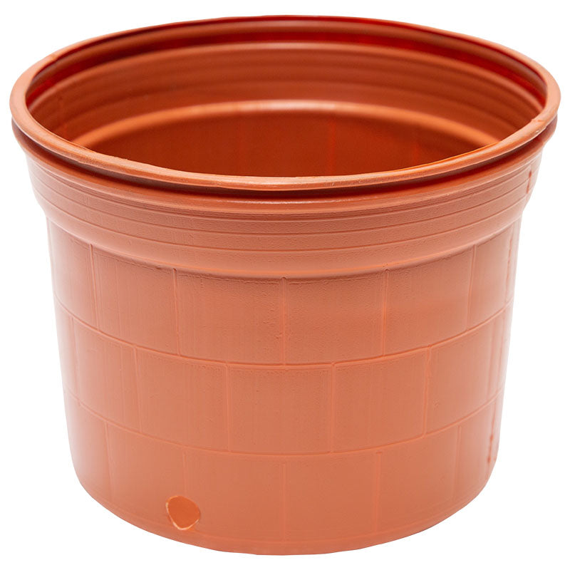 Round plastic terracotta pot 15 x 15 cm