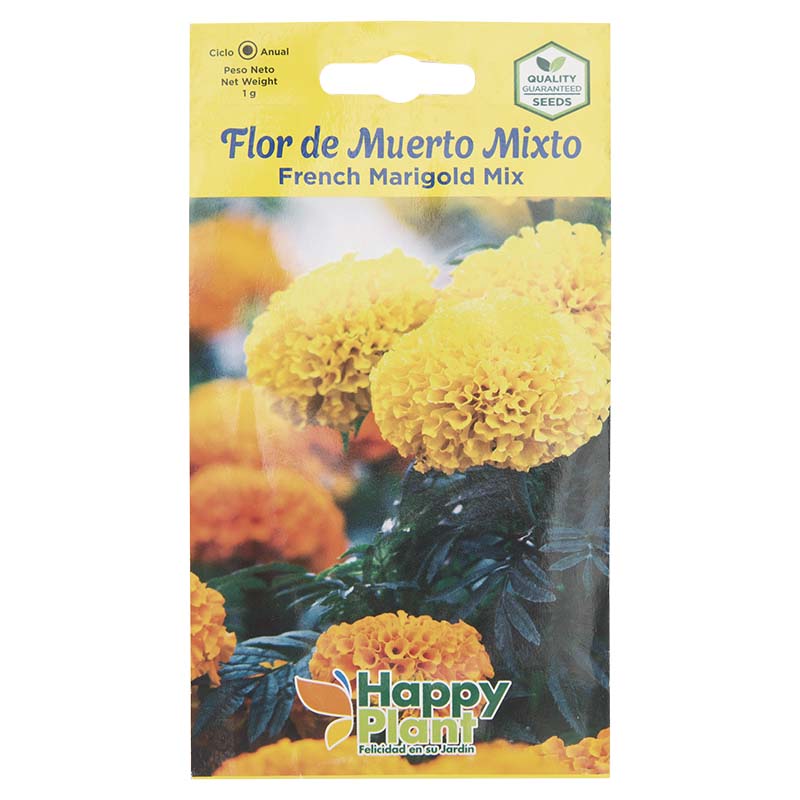Semillas de flor de muerto
