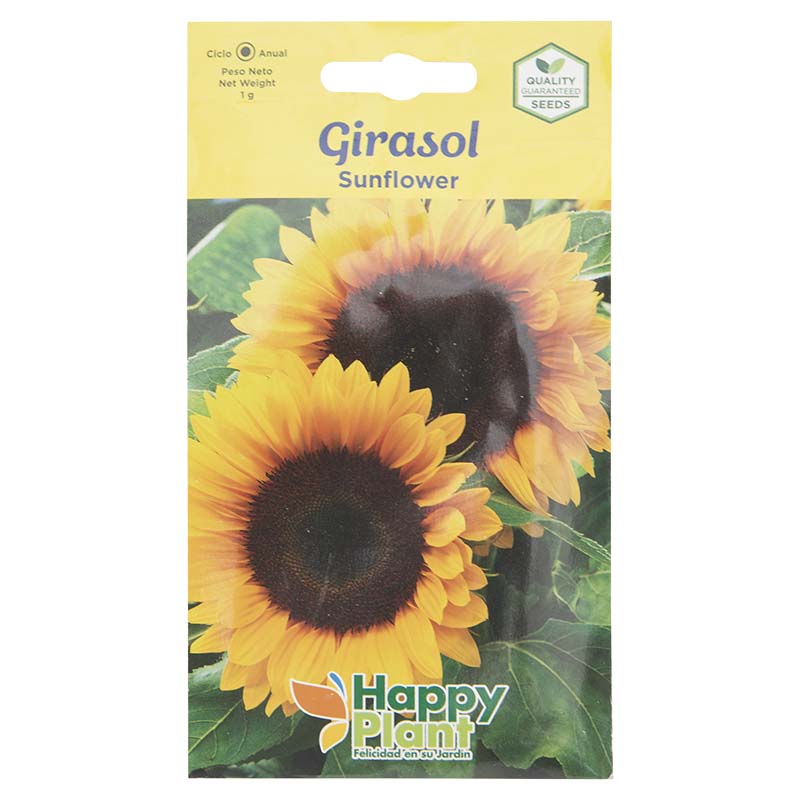 Semillas de girasol