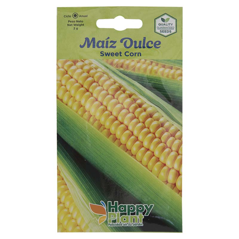 Semillas de maíz dulce