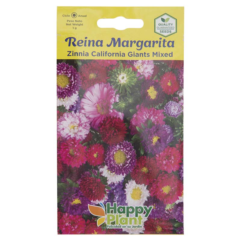 Semillas de Reina Margarita