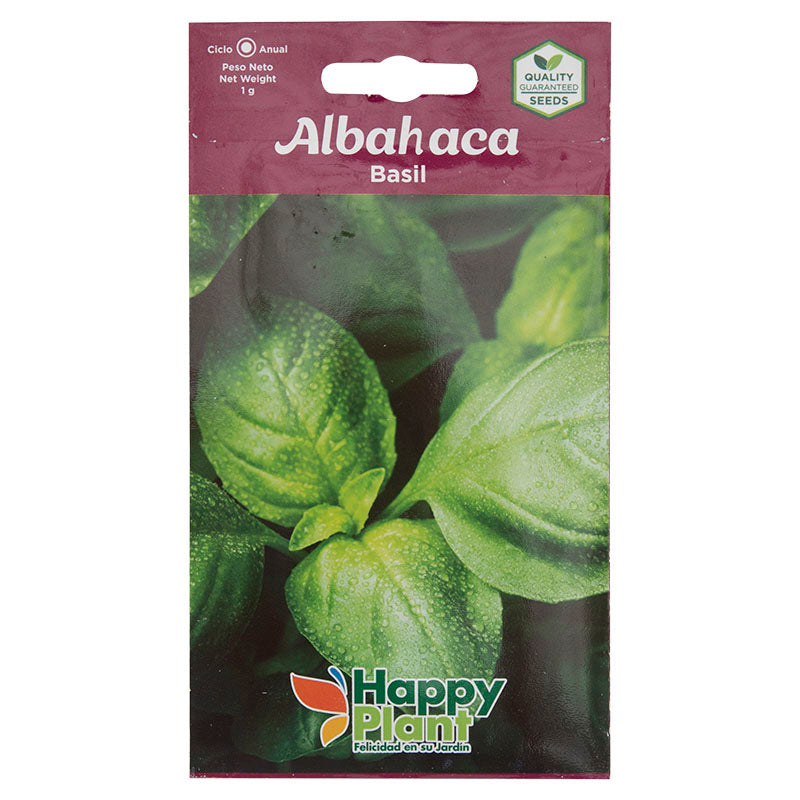 Semillas de albahaca