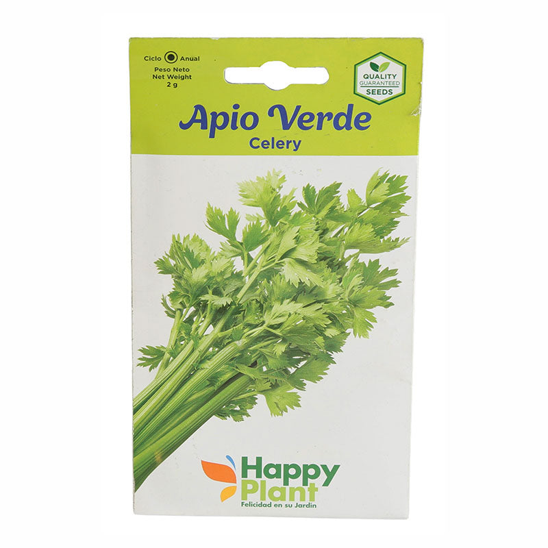 Semillas de apio verde
