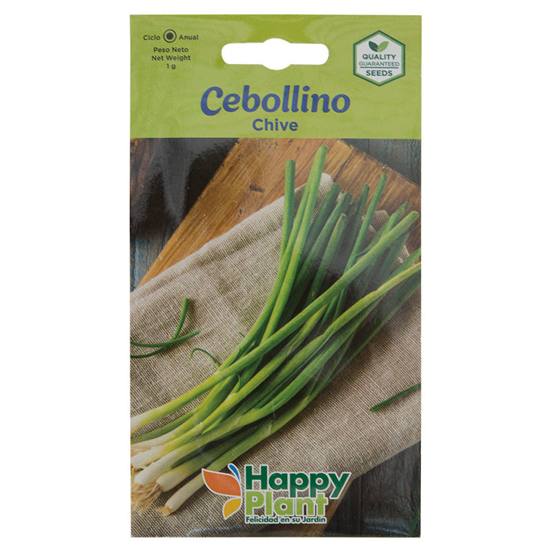 Semillas de cebollino